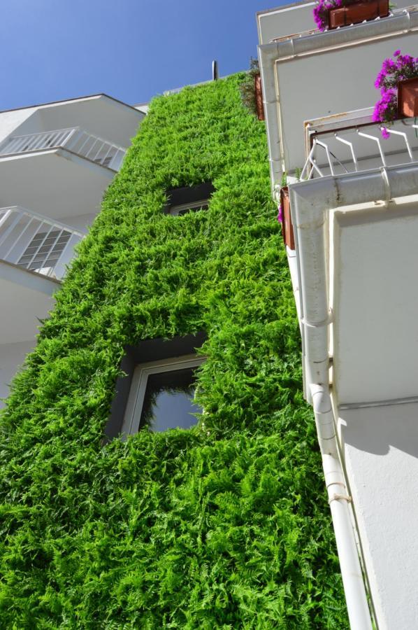 Hostal Mar Del Plata (Adults Only) El Arenal  Exterior photo