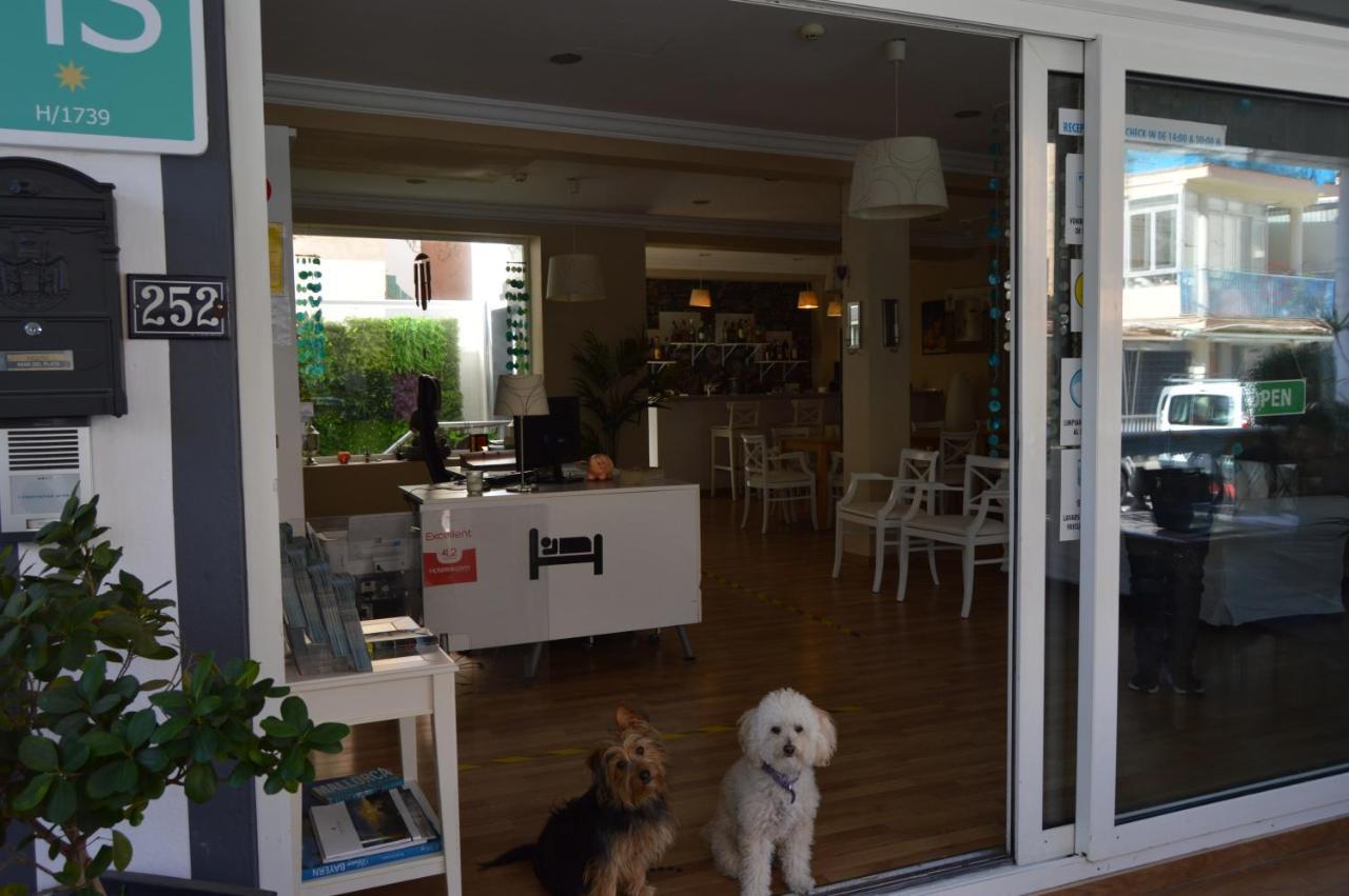 Hostal Mar Del Plata (Adults Only) El Arenal  Exterior photo