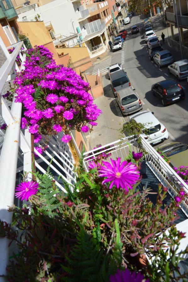 Hostal Mar Del Plata (Adults Only) El Arenal  Exterior photo